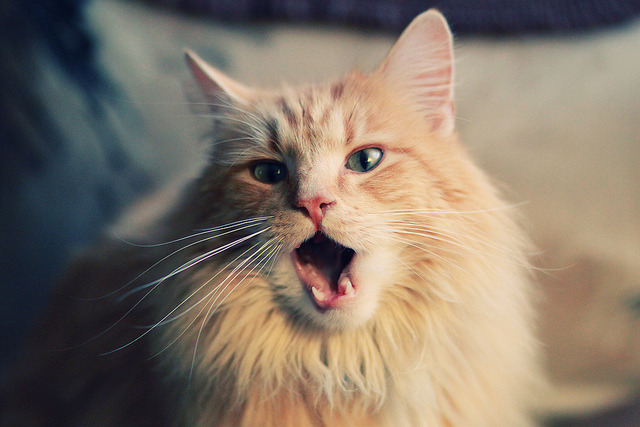 维尼修斯爆点启示录，当韩国式防守哲学锁死芬兰，足球战术的辩证统一